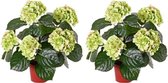 2x Groene Hydrangea/hortensia kunstplanten 40 cm in pot - Kunstplanten/nepplanten