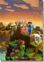 Minecraft poster - Gaming Print - league of legends - Gamer - Minecraft Print - Man Cave - cadeau - ps5  - 60x42