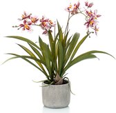 Bordeaux rode orchidee kunstplant in keramische pot 45 cm - Orchidaceae - Woondecoratie/accessoires - Kunstplanten - Nepplanten - Orchidee planten in pot