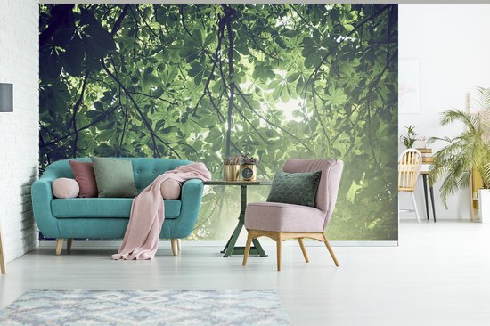 Papier peint Papier peint photo en vinyle - Branches au soleil largeur 360 cm x hauteur 240 cm - Tirage photo sur papier peint (disponible en 7 tailles)