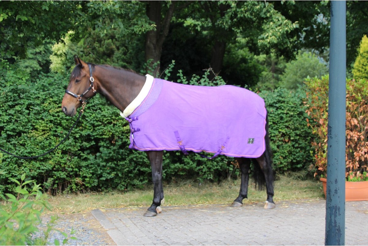 MHS Fleecedeken Deluxe 65/90 cm Paars