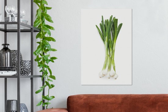 Gros plan d'oignon de printemps bio sur fond blanc Toile 40x60 cm - Tirage photo sur toile (Décoration murale salon / chambre)
