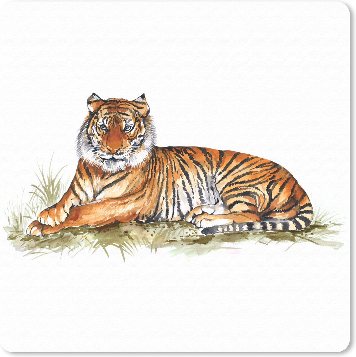 Muismat XXL 80x80 cm - Bureau onderlegger - Bureau mat Tijger - Oranje - Gras - Bureaumat - Gaming mousepad xl - Bureaulegger groot - Computer deskmat