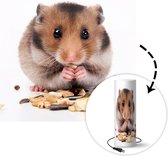 Lamp - Nachtlampje - Tafellamp slaapkamer - hamster eet zaden - 50 cm hoog - Ø15.9 cm - Inclusief LED lamp
