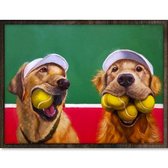 Eagle® Diamond Painting Volwassenen - Honden op Tennisbaan - 40x30cm - Ronde Steentjes