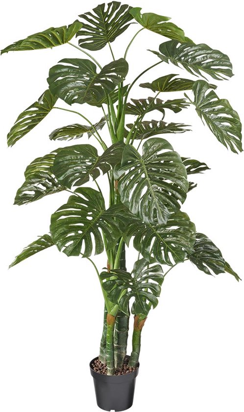 Kunstplant Monstera XXL H200cm - HTT Decorations