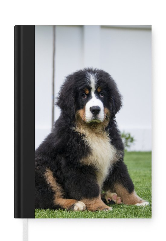 Notitieboek – Schrijfboek – Super schattige Berner Sennenhond puppy – Notitieboekje – A5 formaat – Schrijfblok
