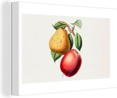 Canvas schilderij 140x90 cm - Wanddecoratie Peer - Appel - Fruit - Muurdecoratie woonkamer - Slaapkamer decoratie - Kamer accessoires - Schilderijen
