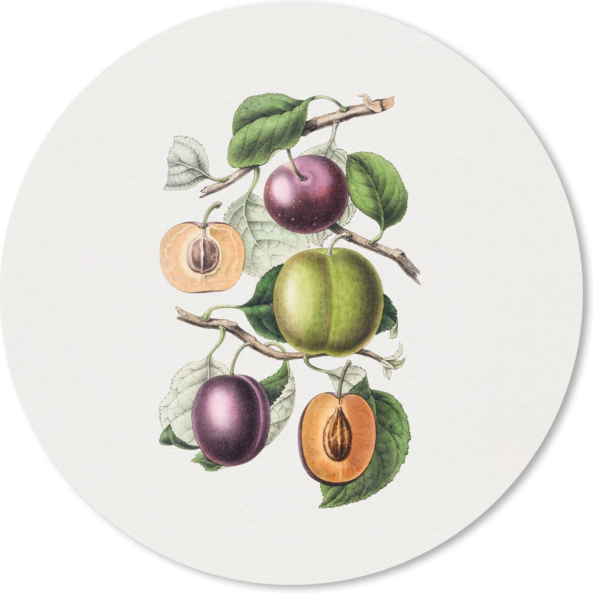 Muismat rond 40x40 cm - Mousepad Perzik - Fruit - Vintage - Ronde muismatten