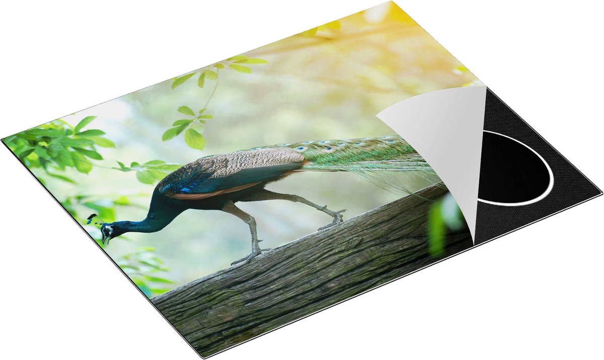 Chefcare Inductie Beschermer Pauw Loopt op een Tak in de Natuur - 65x52 cm - Afdekplaat Inductie - Kookplaat Beschermer - Inductie Mat