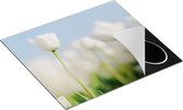 Chefcare Inductie Beschermer Witte Tulpen - Bloemen - 60x52 cm - Afdekplaat Inductie - Kookplaat Beschermer - Inductie Mat
