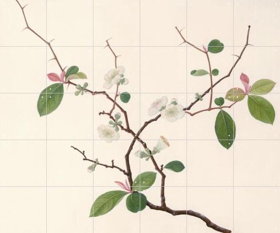 IXXI Blossom - Wanddecoratie - Bloemen en Planten - 120 x 100 cm