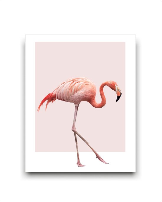 Schilderij  Lopende flamingo - Roze / Zomers / 50x40cm