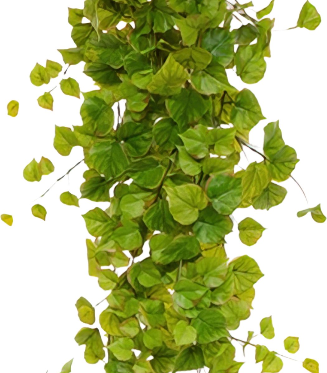 maxifleur Kunstplanten Populier kunst hangplant 170cm Groen