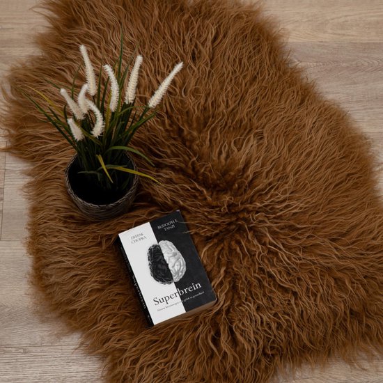 WOOOL® IJslandse Schapenvacht - Rood Bruin CURLY XL (115x65cm) 100% Natuurlijk & Echt - Vloerkleed - ECO+