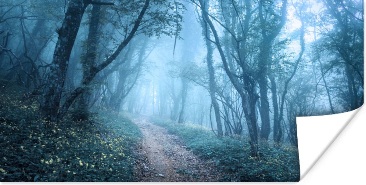 Poster Bomen - Natuur - Mist - 150x75 cm
