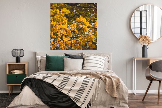 Affiche Feuilles - Arbre - Nature - Saisons - 100x100 cm XXL