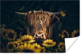 Poster Schotse hooglander - Bloemen - Koe - Botanisch - Dieren - 60x40 cm