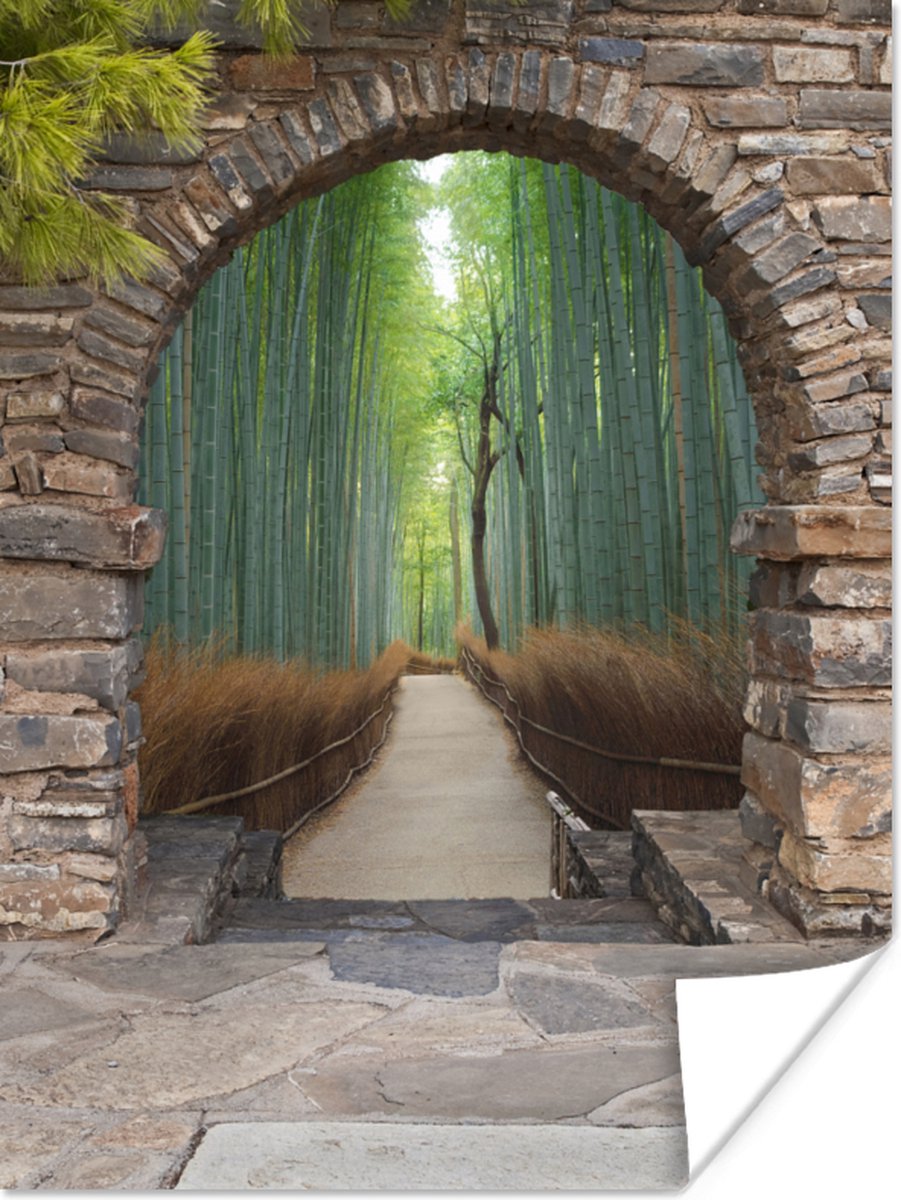 Poster Bamboe - Japans - Doorkijk - Bos - 90x120 cm
