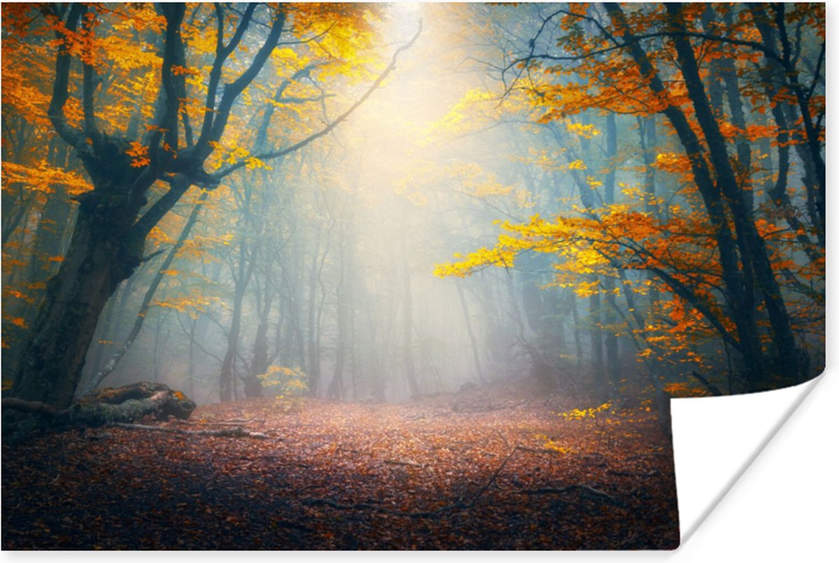 Poster Bos - Mist - Herfst - 90x60 cm