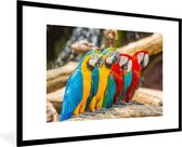 Cadre photo avec affiche - Vogels - Perroquet - Tropical - Nature - 90x60 cm - Cadre pour affiche
