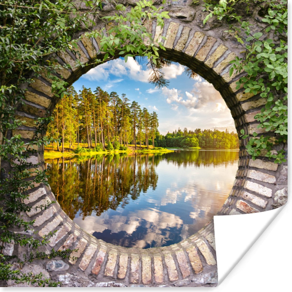Poster Bomen - Water - Doorkijk - 30x30 cm