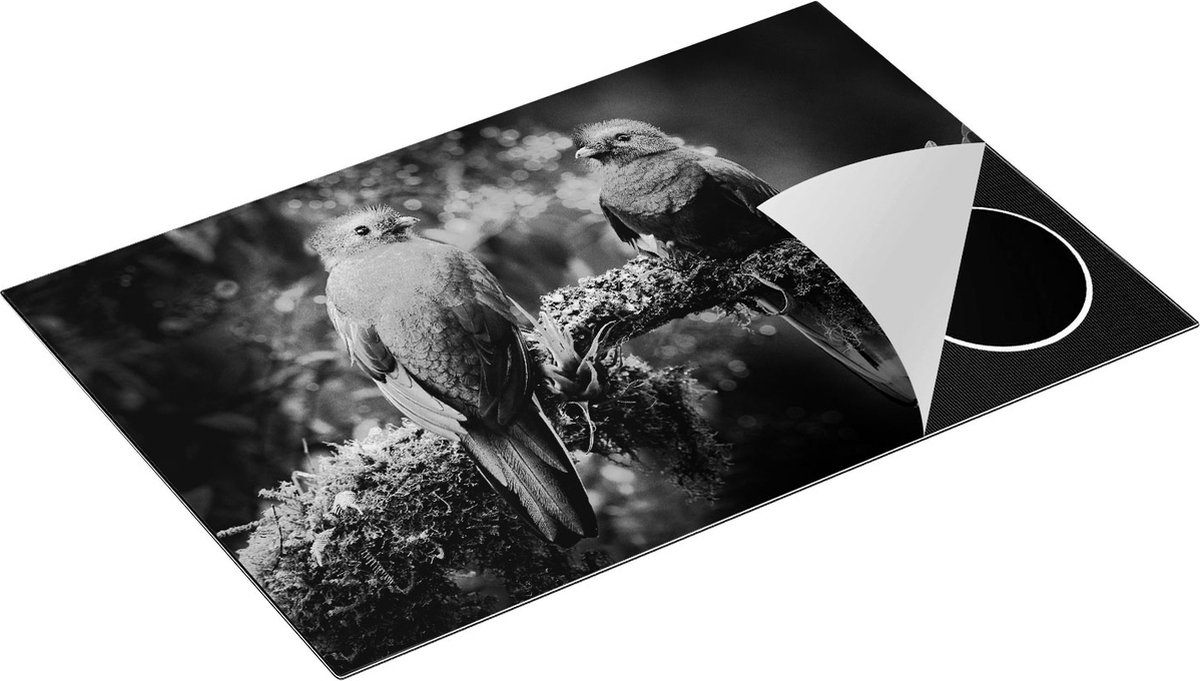 Chefcare Inductie Beschermer Twee Groene Quetzal Vogels op een Tak - Zwart Wit - 80x52 cm - Afdekplaat Inductie - Kookplaat Beschermer - Inductie Mat