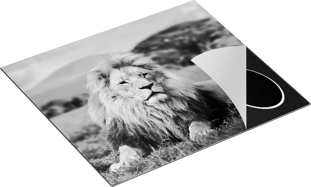 Chefcare Inductie Beschermer Leeuw - Zwart Wit - 60x52 cm - Afdekplaat Inductie - Kookplaat Beschermer - Inductie Mat