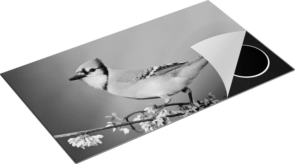 Chefcare Inductie Beschermer Blauwe Gaai Vogel op een Tak - Kleur - Zwart Wit - 89,6x51,6 cm - Afdekplaat Inductie - Kookplaat Beschermer - Inductie Mat