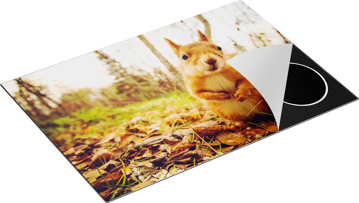 Chefcare Inductie Beschermer Eekhoorn in het Bos tijdens de Herfst - 75x50 cm - Afdekplaat Inductie - Kookplaat Beschermer - Inductie Mat