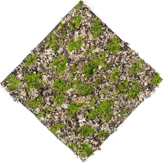 Dry moss kunstmos decoratie mat - nep mos wandpaneel - 50 x 50 cm - Groen - Bruin - Grijs