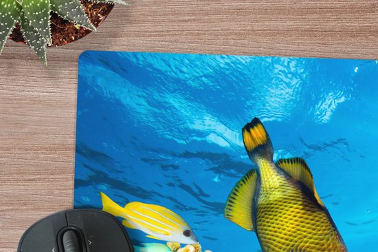 Muismat XXL 120x80 cm - Bureau onderlegger - Bureau mat Schildpad - Zee - Koraal - Bureaumat - Gaming mousepad xl - Bureaulegger groot - Computer deskmat