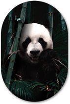 Muurovaal Jungle Panda - WallCatcher | Acrylglas 80x120 cm | Ovalen schilderij | Wandovaal Pandabeer