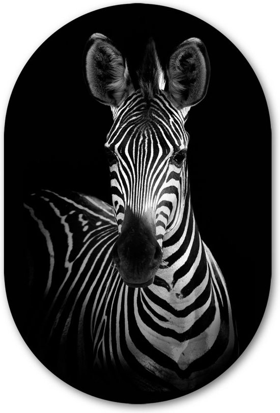 Muurovaal Zebra portret Zwart Wit - WallCatcher | Acrylglas 80x120 cm | Ovalen schilderij | Wandovaal Zebra portrait