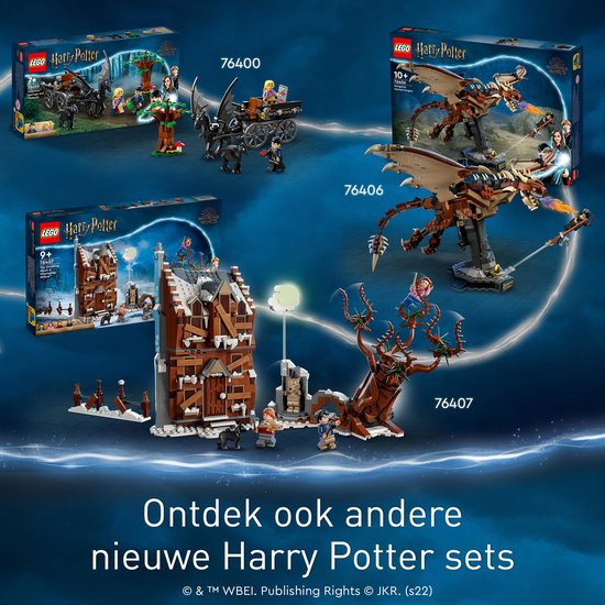 LEGO Harry Potter 76400 La Diligence et les Sombrals de Poudlard