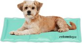 Relaxdays koelmat hond - koeldeken kat zonder water - verkoelende mat dieren - hondenmat - 20 x 35 cm
