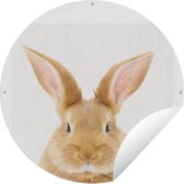 Animaux du Cercle de Jardin - Lapin - Wit - 60x60 cm - Affiche de Jardin Ronde - Extérieur