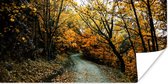 Affiche Feuilles - Automne - Forêt - 160x80 cm