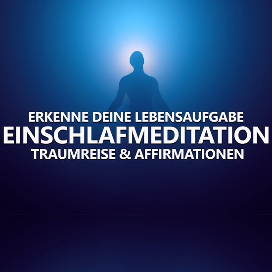 Erkenne deine Lebensaufgabe - cover