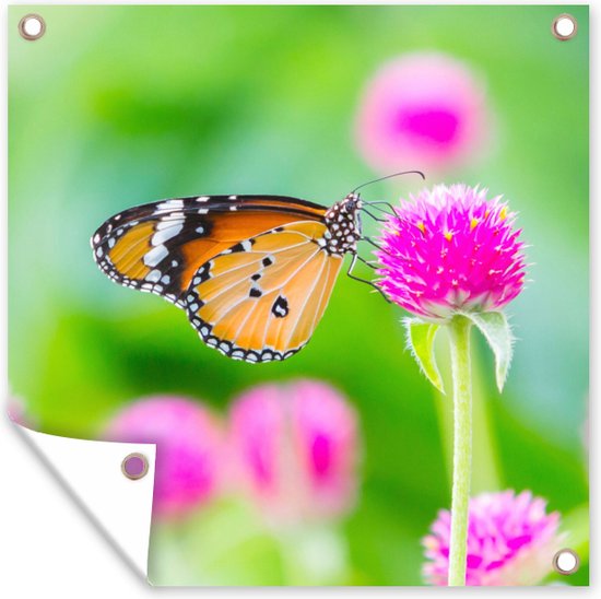Tuinposter - Vlinder - Insecten - Bloemen - Fauna - Tuindecoratie - 100x100 cm - Tuindoek