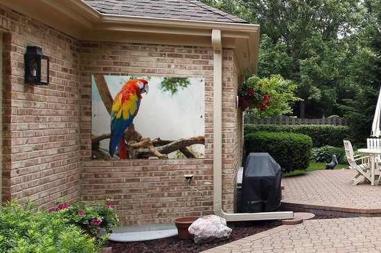 Poster de Jardin Perroquet - Vogel - Arc-en-ciel - Tropical - 200x200 cm - Toile de jardin