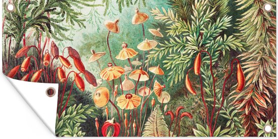 Tuin - Tuinposter - Bloemen - Kunst - Vintage - Planten - Ernst Haeckel - 160x80 cm - Muurdecoratie - Tuinschilderij - Tuindoek - Buitenposter