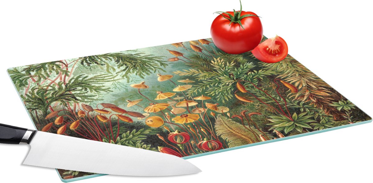 Glazen Snijplank - 39x28 - Oude meesters - Kunst - Muscinae - Haeckel - Snijplanken Glas