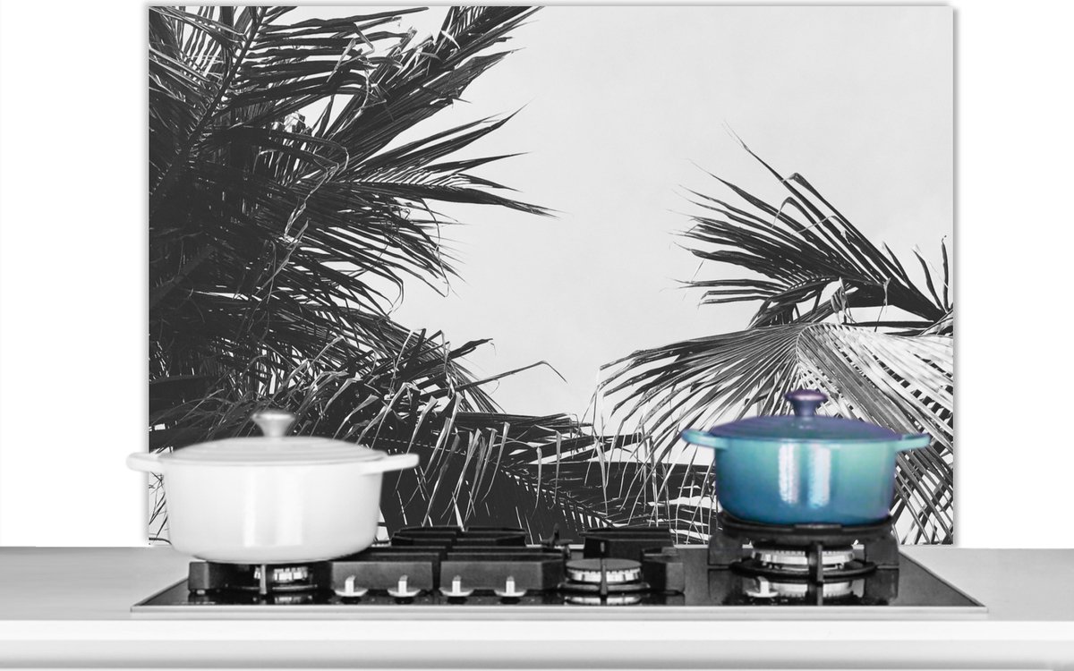 Spatscherm - Palmboom - Natuur - Zwart wit - Bladeren - Keuken - Spatwand- 100x65 cm