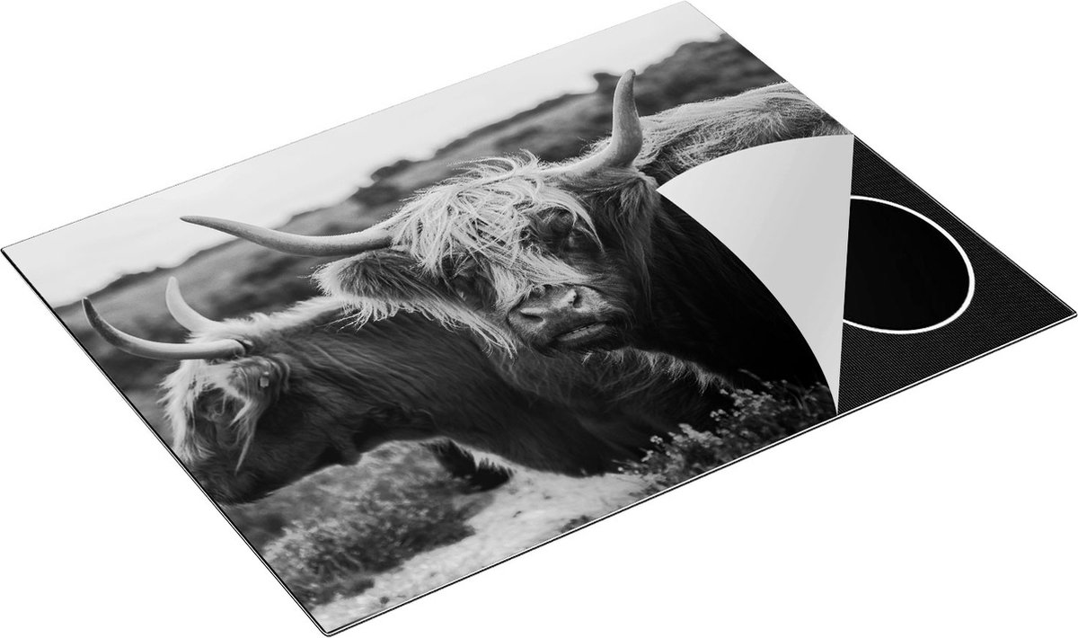 Chefcare Inductie Beschermer Twee Schotse Hooglander Koeien - Zwart Wit - 77x59 cm - Afdekplaat Inductie - Kookplaat Beschermer - Inductie Mat