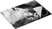 Chefcare Inductie Beschermer Moeder Vos met haar Welp - Zwart Wit - 75x55 cm - Afdekplaat Inductie - Kookplaat Beschermer - Inductie Mat