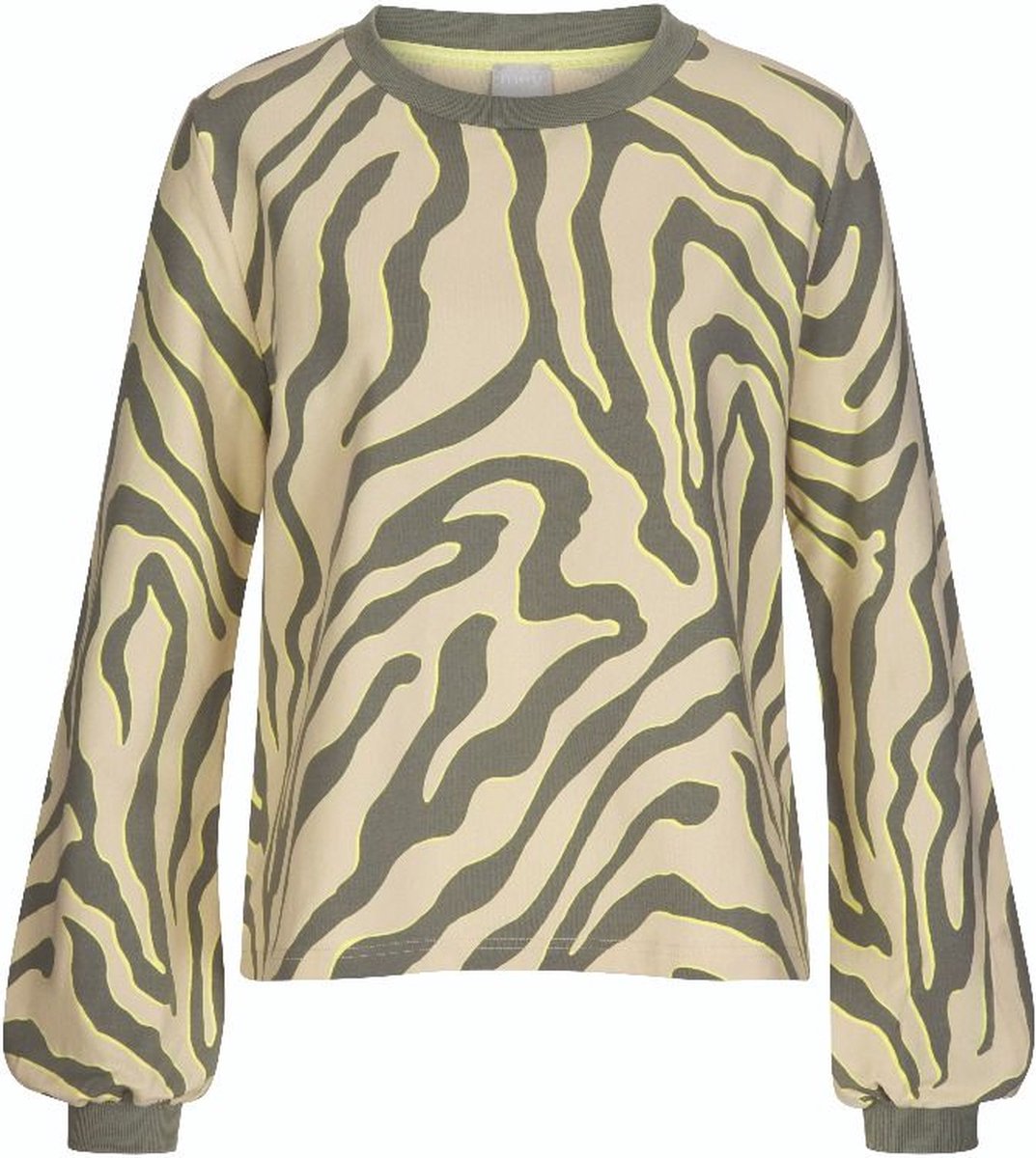 Mey Sweater Night2Day Amely Dames 17402 43 sage green Meerkleurig
