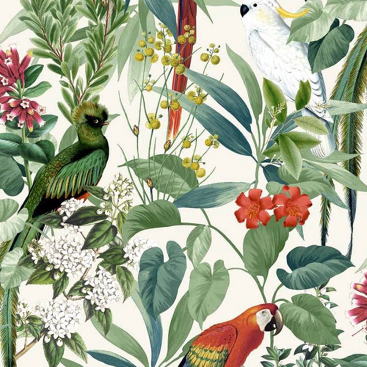 DUTCH - WALLCOVERINGS - Behang - tropische - vogels - wit - en - groen