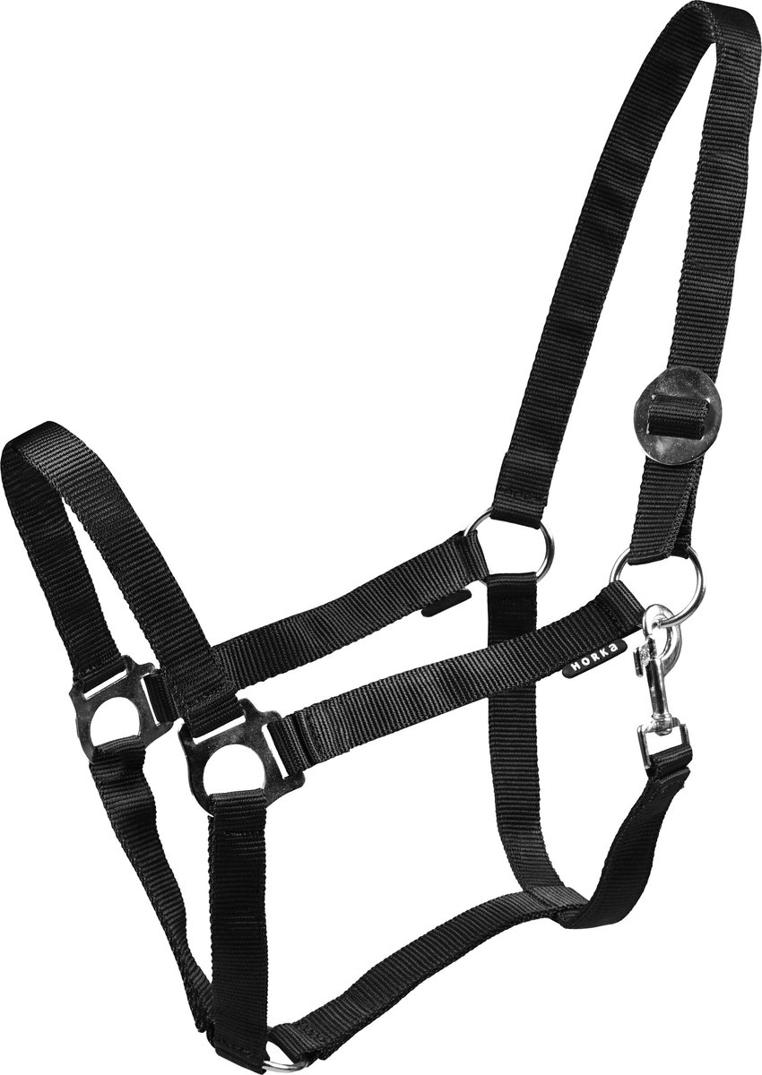HALSTER DREW / | Pony