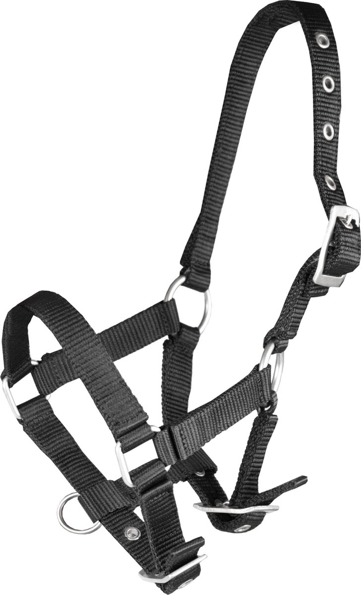 Halster Basic Veulen | Mini Shetlander